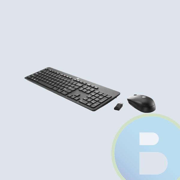 Combo Inalámbrico HP Slim Business, USB, Negro