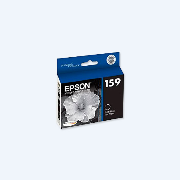 Cartucho Epson Negro Photo, P/R2000